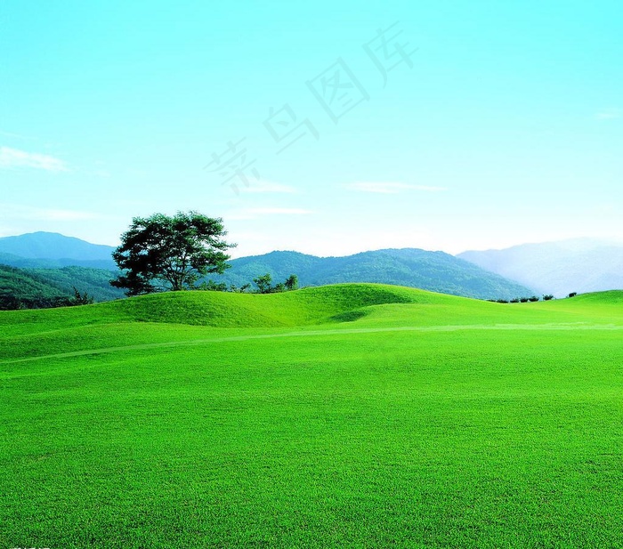 高精度高质量 风景画 绿地 大树图...