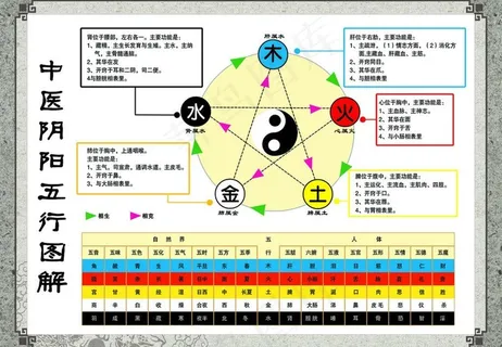 中医阴阳五行图图片