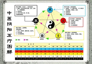 中医阴阳五行图图片