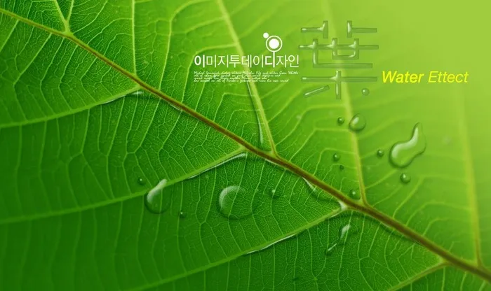 绿叶与水珠图片(4000X2600(DPI:300))psd模版下载