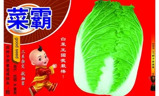 白菜包装图片