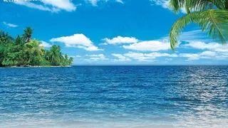 蓝天白云椰子海景图片