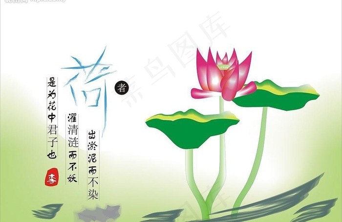 雨荷图片cdr矢量模版下载