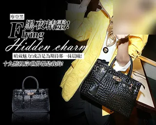 大牌欧美真皮包包海报