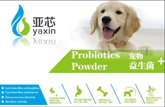 宠物益生菌 包装设计psd模版下载
