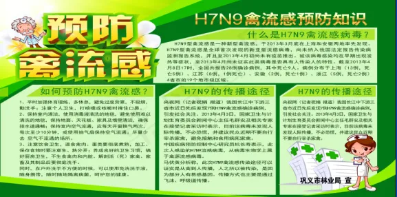 H7N9版面psd模版下载