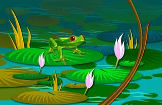 青蛙