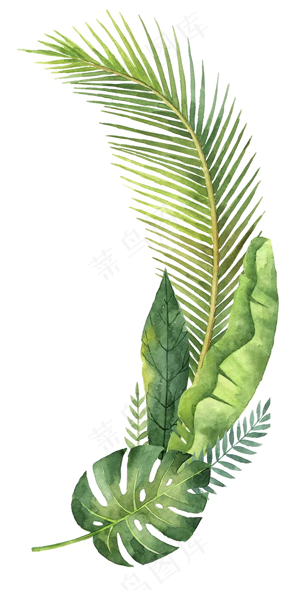 卡通绿叶装饰水彩手绘文艺小清新