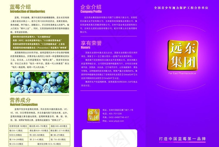 蓝莓远东国际三折页图片psd模版下载