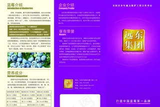 蓝莓远东国际三折页图片