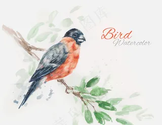 时尚唯美麻雀手绘素材