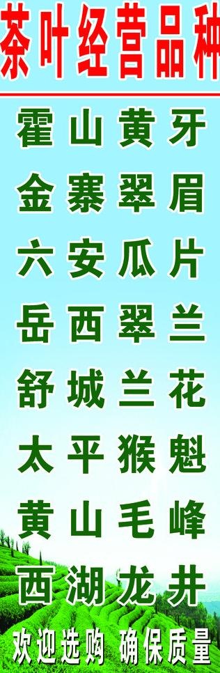 茶叶图片psd模版下载
