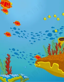 海洋生物 海洋生物
