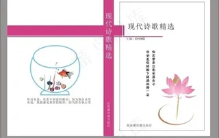 书籍封面图片