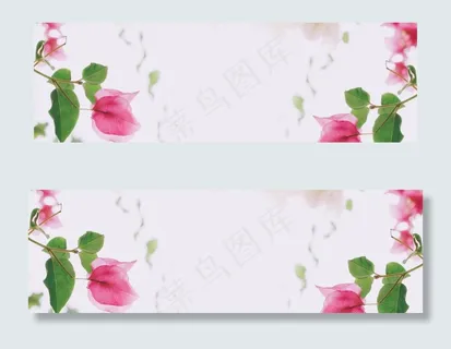 化妆品简约搭配植物banner海报... 化妆品简约搭配植物banner海报...