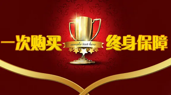 一次购买终身保障