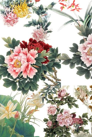 梅兰菊牡丹鱼荷花图片