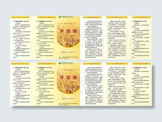 金谷村镇银行存贷通三折页图片