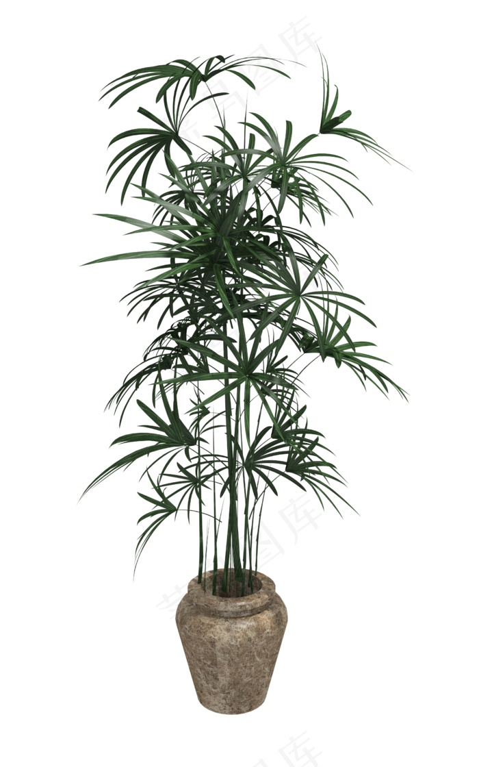 家居装饰植物绿色盆栽家居装饰植物绿色盆栽