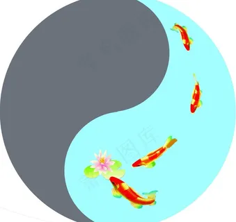 八卦鱼图片 八卦鱼图片