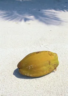 海滩风光 木瓜图片