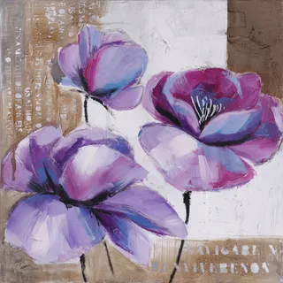 紫色娇艳花 紫色娇艳花