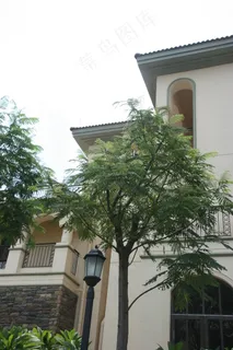 万科 佛山 兰乔圣菲 经典 大气 ...