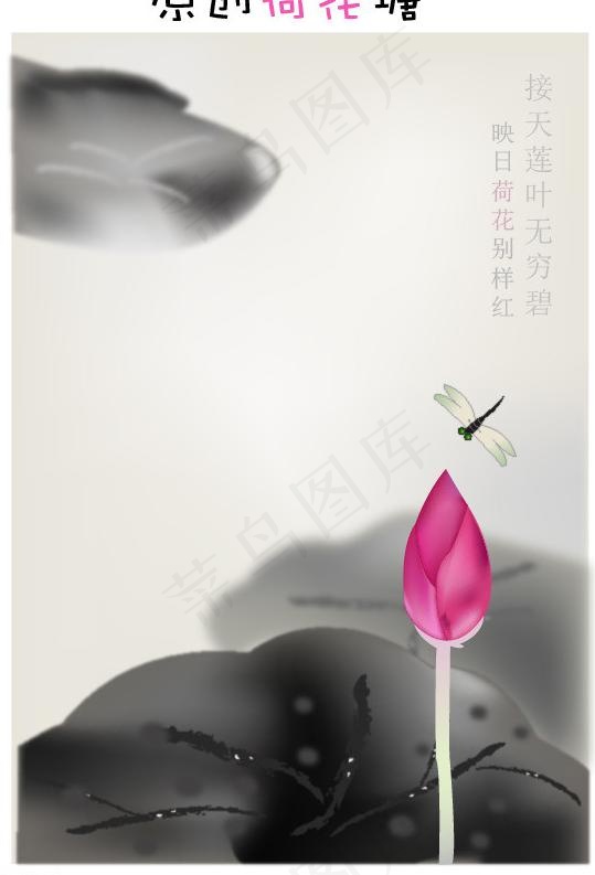 原创荷花塘图片