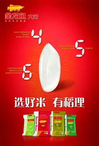 大气的金龙鱼大米广告设计