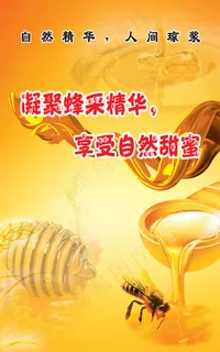 自然蜂蜜凝聚蜂采精华 自然蜂蜜凝聚蜂采精华