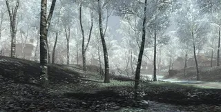 上古世纪 风景图片