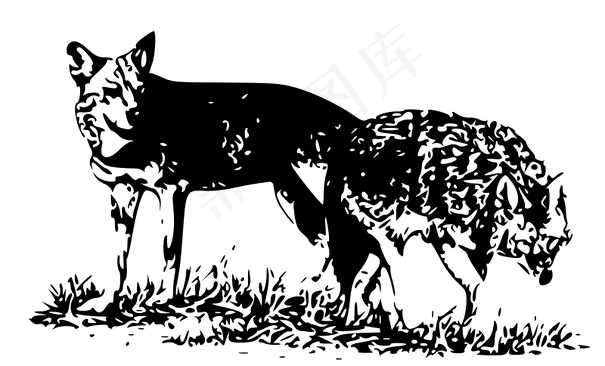 两只狼