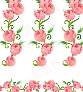 韩国植物花边边框矢量图13