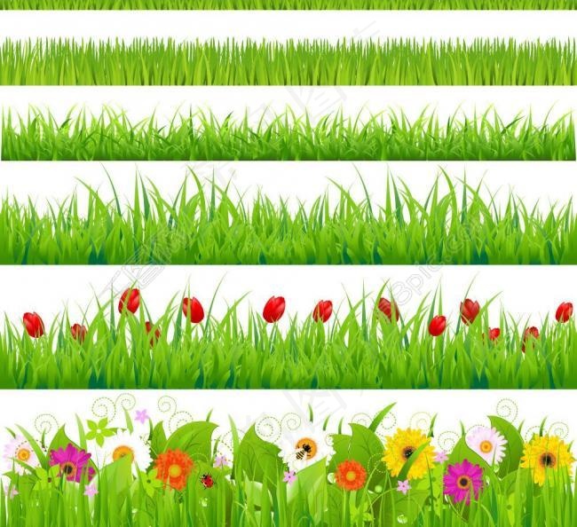 草地绿草鲜花矢量图片