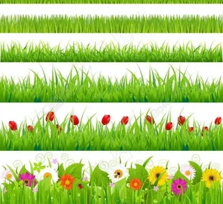 草地绿草鲜花矢量图片