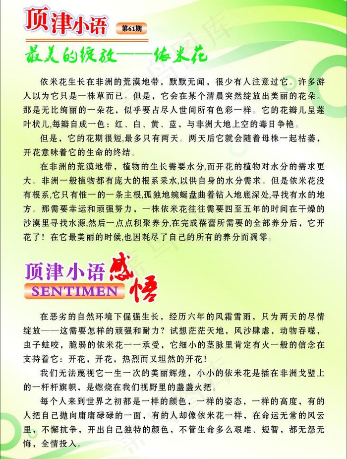 顶津小语 最美的绽放 依米花图片cdr矢量模版下载