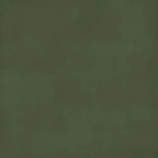 纯色背景图片素材