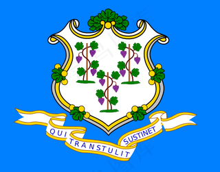 康涅狄格州的旗帜的剪辑艺术