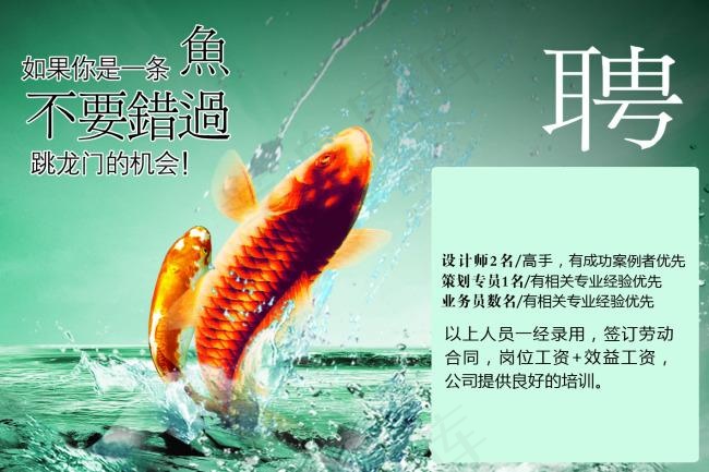 招聘广告psd模版下载