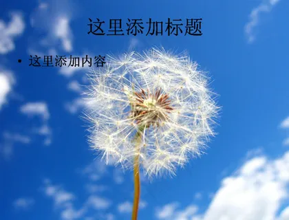 PPT高考学子如蒲公英般背景图片...