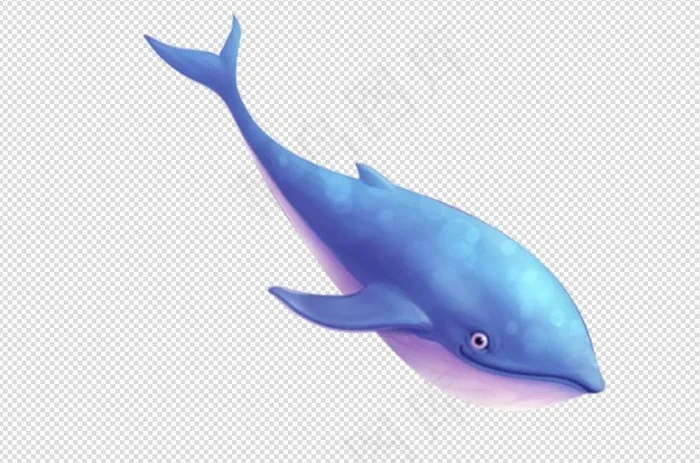 卡通手绘插画蓝色鲸鱼免扣PNG素材
