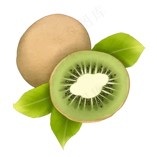 手绘切开的猕猴桃手绘切开的猕猴桃