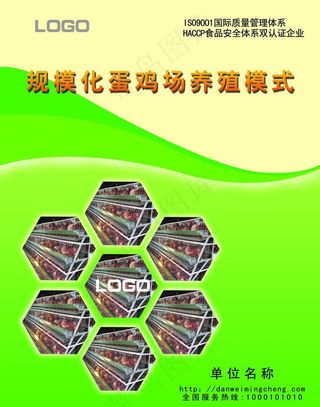 鸡场养殖封皮图片