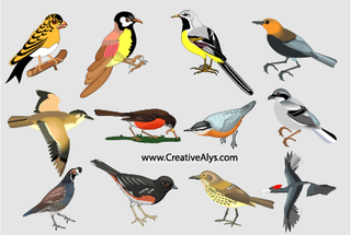 彩绘时尚各种小鸟剪影素材