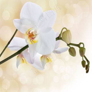 清新唯美大气背景图