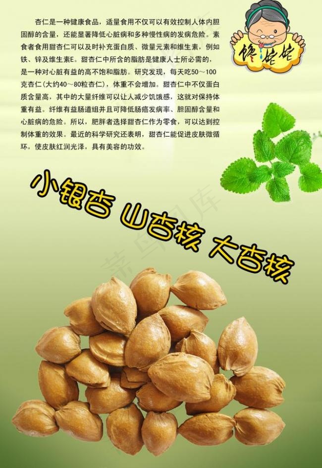 干果画册图片