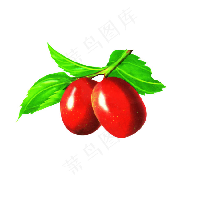 手绘大红枣