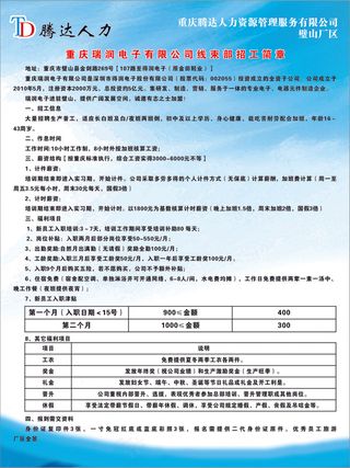 瑞润招聘简章模板