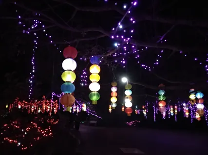 成串的花灯 成串的花灯