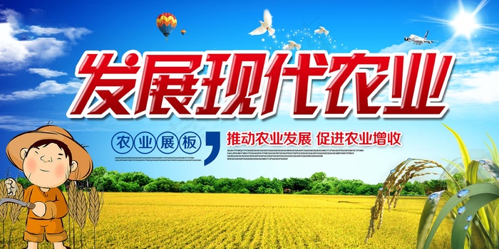 共建美丽新农村海报展板psd模版下载